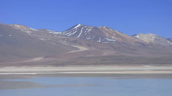 Widok Altiplano Montains Wulkan Pustynie Laguna — Zdjęcie stockowe