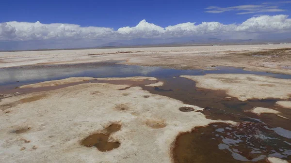 Различные Фотографии Южной Америки Ландшафты Фауна Флора — стоковое фото