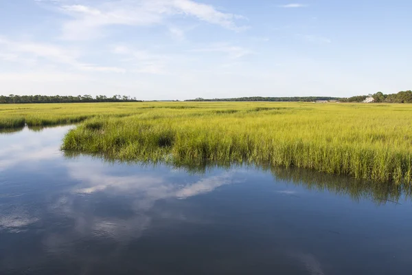 Pântanos salgados da Carolina do Sul — Fotografia de Stock