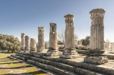 Temple of Hekate, Lagina, Turkey clipart