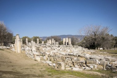 Lagina, Türkiye'de kazı çalışmaları