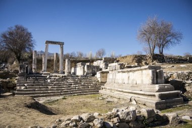 Lagina, Türkiye'de kazı çalışmaları