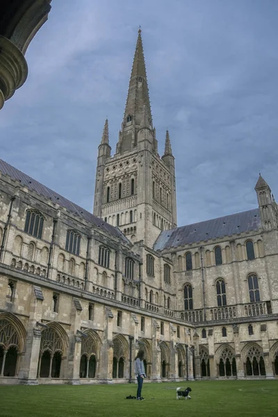 Gröna Norwich Cathedral Cloisters — Stockfoto