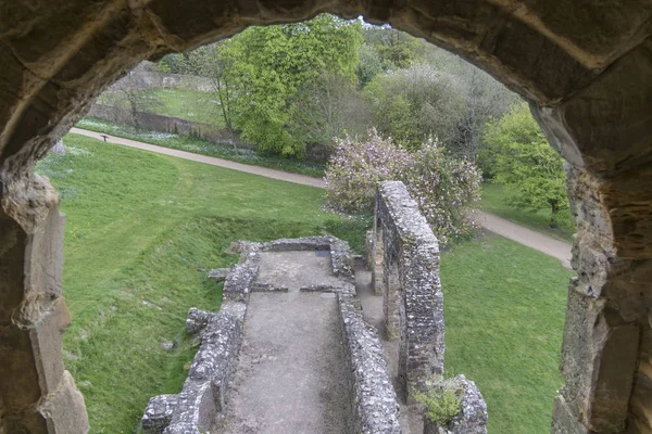 Battle Abbey Remains, Sussex, Reino Unido — Fotografia de Stock