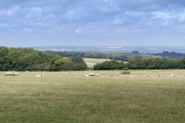 Vista del campo de Kent —  Fotos de Stock