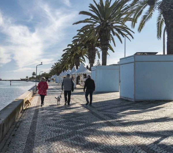 Cani Passeggio Turistici Lungo Lungomare Lagos Portogallo — Foto Stock