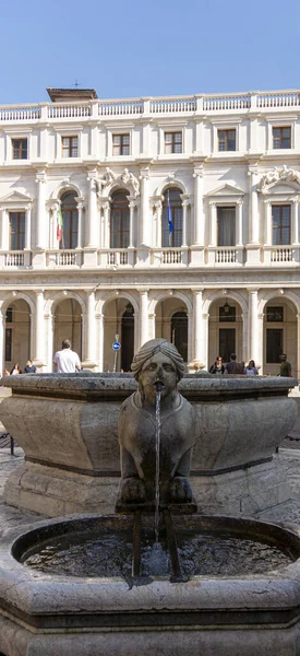 Zicht Een Sierlijke Fontein Civic Library Oude Stad Bergamo Italië — Stockfoto