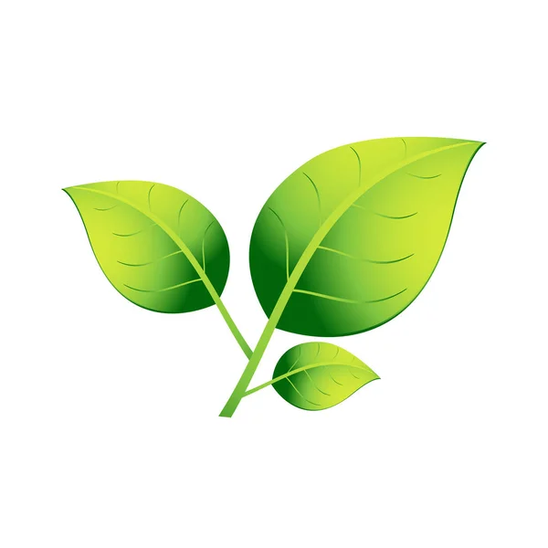 A plant with three green leaves on a white background. EPS 10. — Stock Vector