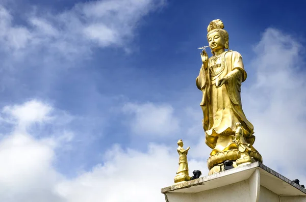 'Guan Yin', Merhamet Tanrıçası, Tayland, Trang 'daki Bodhisattva' nın Altın Heykeli