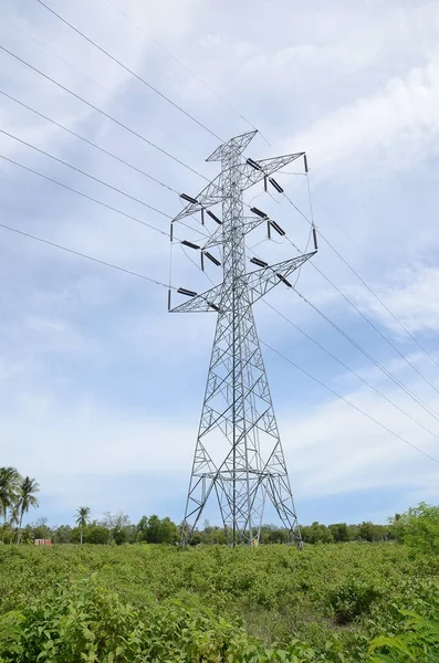 Pylons Alta Tensão Linhas Energia Para Relação Potência Fotos De Bancos De Imagens Sem Royalties