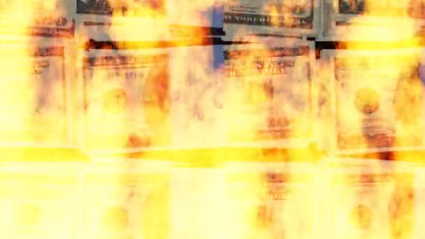 Burning dollar bills — Stock Video