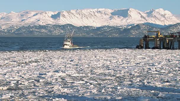 Аляскинський човен наближається до гавані — стокове відео