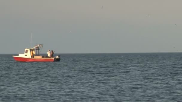 Barco y aves de pesca en el agua — Vídeos de Stock