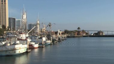 marina deniz martı san Diego'da tekneler