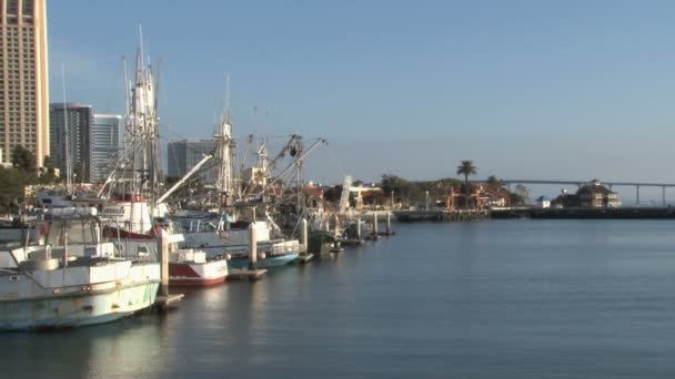 Boote in marina möwe san diego — Stockvideo