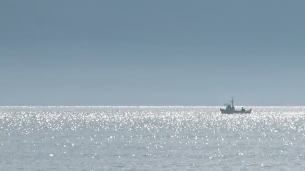 Bateaux sur la baie scintillante — Video