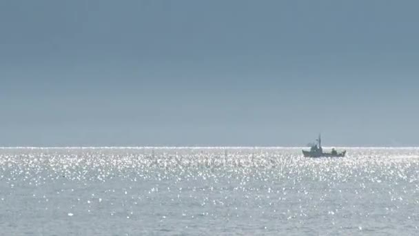 Boats on glistening bay — Stock Video