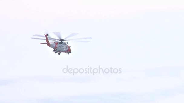 Coast guard helicopter flying over forest — Stock Video