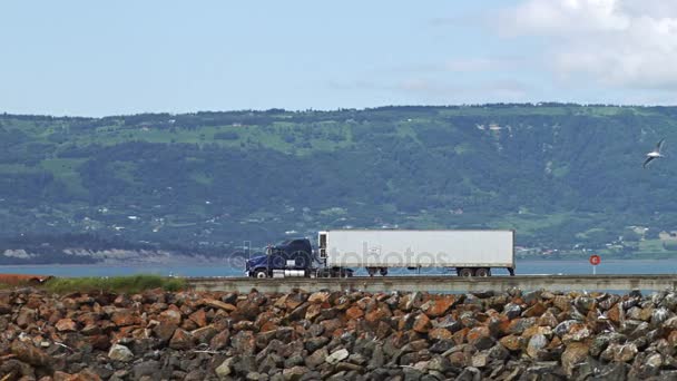 Semi vrachtwagen ophalen goederen en vis uit dock — Stockvideo