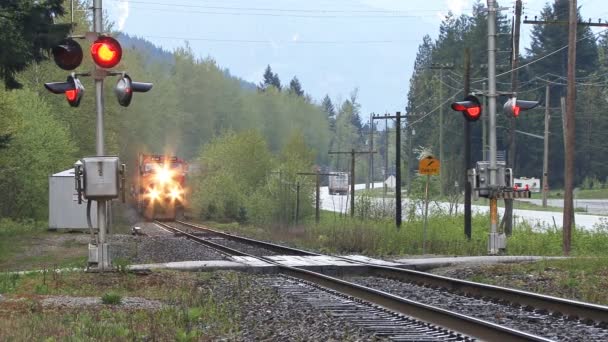 Tren de mercancías cruzando la carretera lateral en Columbia Británica — Vídeo de stock