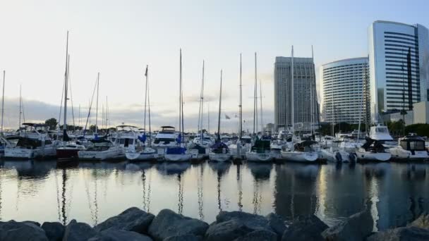 San Diegon satama — kuvapankkivideo