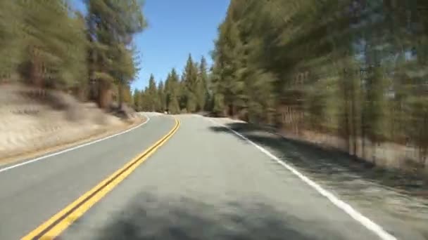 Exceso de velocidad a través del bosque desierto — Vídeo de stock
