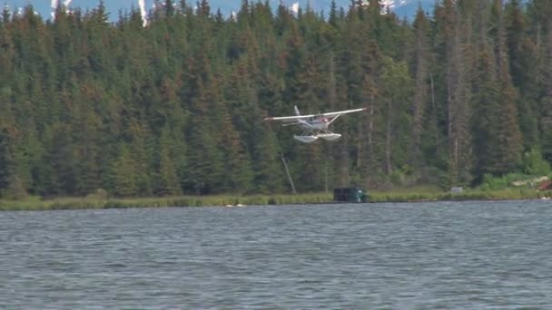 Wasserflugzeug landet auf dem Wasser — Stockvideo