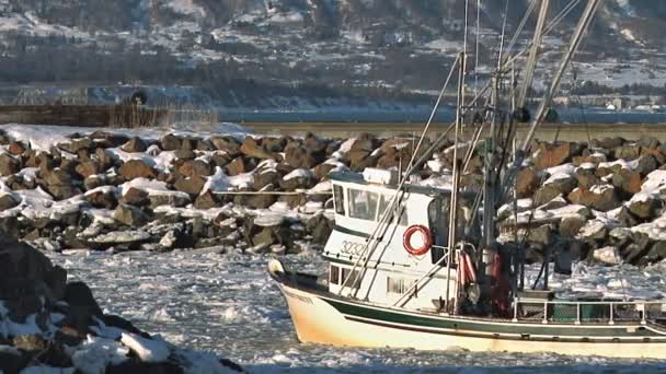 Fiske båtens kurs in i hamnen — Stockvideo