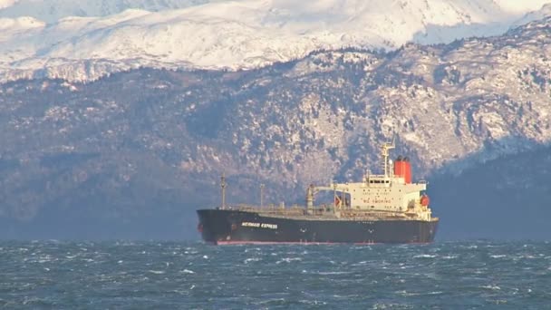 Oljetankfartyg som tagit sin tillflykt från storm — Stockvideo