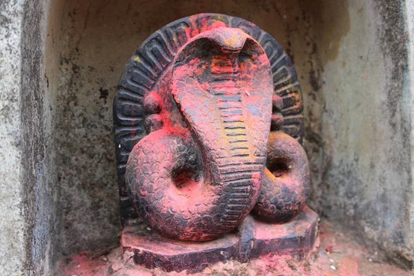 Güney Hindistan'daki ibadet için kullanılan heykel Cobra. — Stok fotoğraf