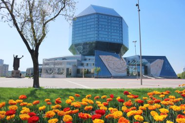 Minsk, Beyaz Rusya, 1 Mayıs 2018. Rusya Milli Kütüphanesi zemin karşı Oranje laleler.