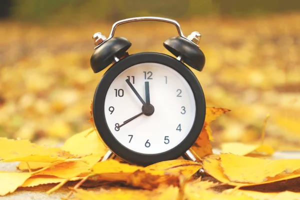 Vintage Alarm Clock Yellow Leaves Autumn — Stock Photo, Image