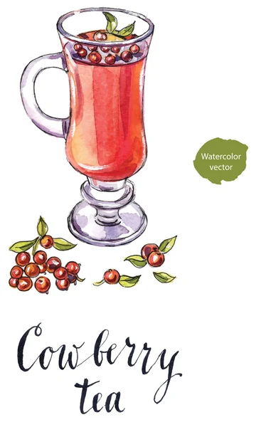 Teh Cowberry dalam cangkir dengan buah berry segar - Stok Vektor