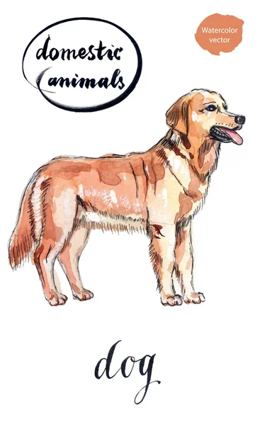 Bonito perro marrón — Vector de stock