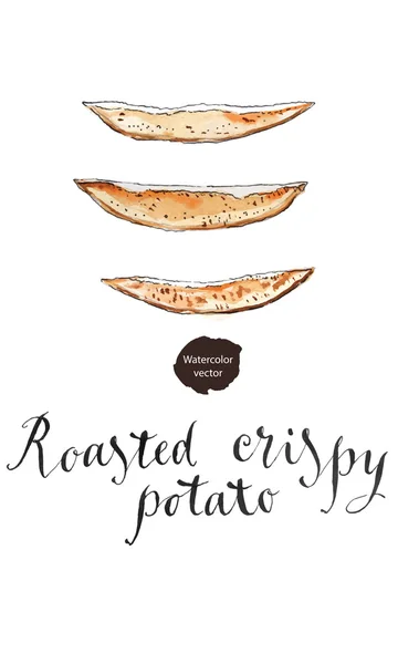 Roasted crispy potato — Stock Vector