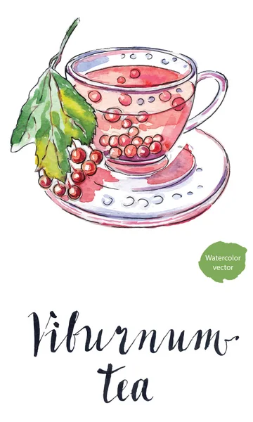 Taza de té viburnum — Vector de stock