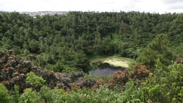 Crater of volcano Trou aux Cerfs in Mauritius — Stock Video