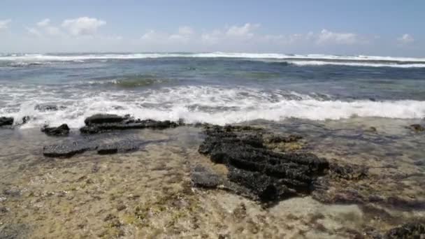 Stenkusten i Mauritius — Stockvideo