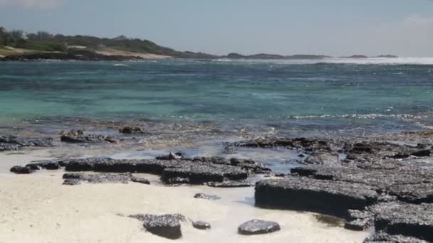 Steine im Indischen Ozean in Mauritius — Stockvideo