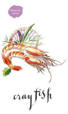 Yeşil sebze ile pişmiş crayfishes