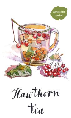 Alıç çay yeşil yaprakları ile
