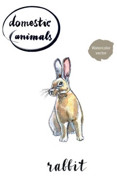 Oturma sevimli tüylü tavşan