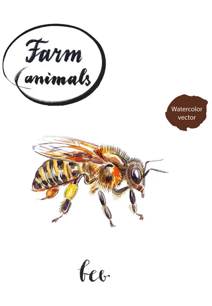 Маленькая пчела с медом на лапе — стоковый вектор
