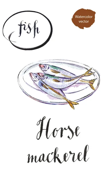 Three horse mackerels on a white plate — Stock Vector