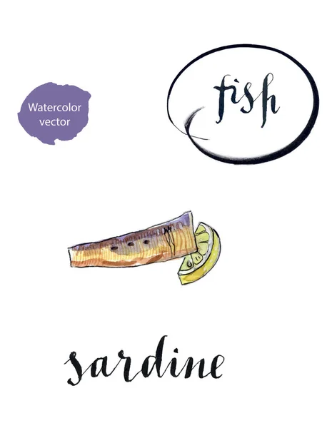 Stück Sardine und Zitrone — Stockvektor