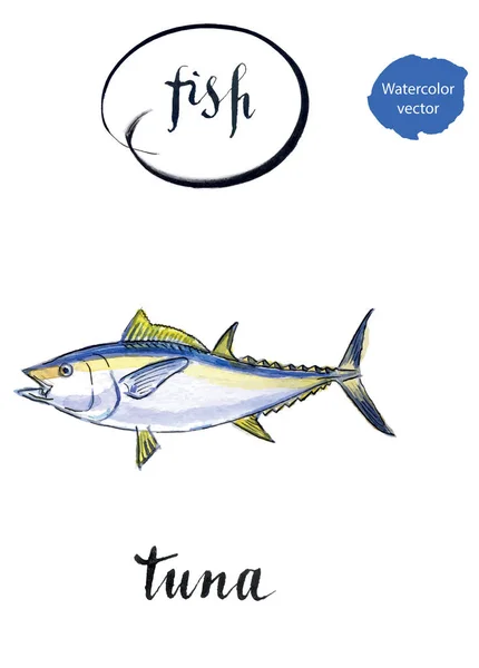 Zee vis tonijn — Stockvector
