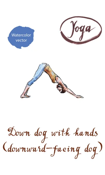 Healthy yoga stretching woman does a downward facing dog — Stock Vector