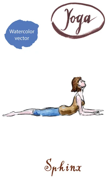 Mujer joven practicando yoga, sentada en Esfinge, Cobra, ejercicio , — Vector de stock