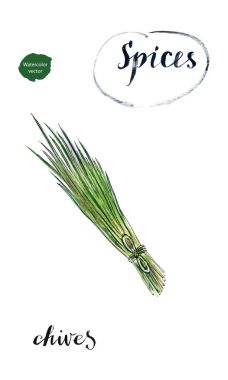 Suluboya genç yeşil taze chives bir avuç