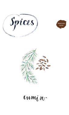 Suluboya Kimyon tohumu ile dal